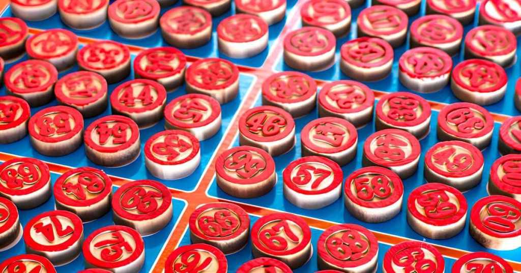 제도적 관리와 공정성 확보